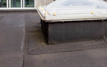 disadvantages of New Village flat roofs
