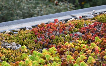 the cost of New Village green roof installation