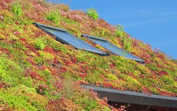 New Village living roof systems