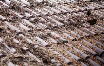 New Village roof cleaning companies