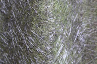 New Village fibreglass roof work