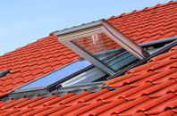 New Village roof window